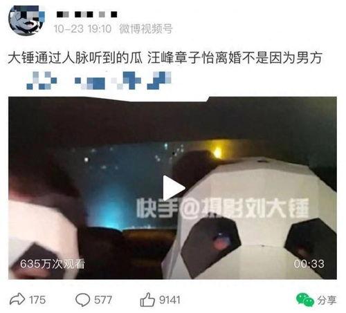 刘大锤最新爆料消息视频,最新爆料视频深度解析