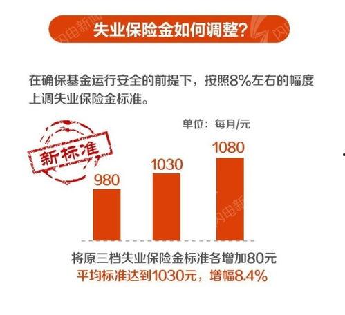 山东保险爆料最新,揭秘风险与机遇并存的新趋势