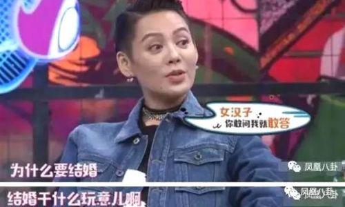 最新爆料的综艺有哪些,热门节目抢先看