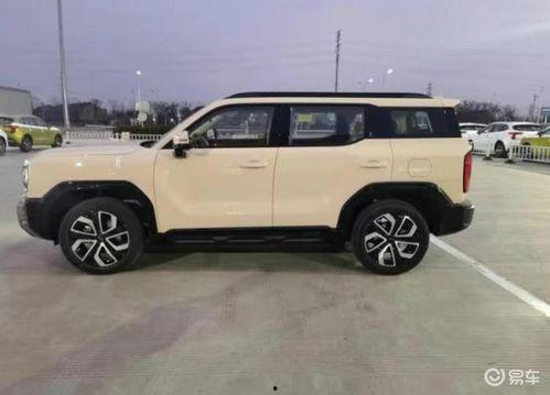 哈弗酷狗最新爆料新闻,最新车型动态及神秘技术揭秘